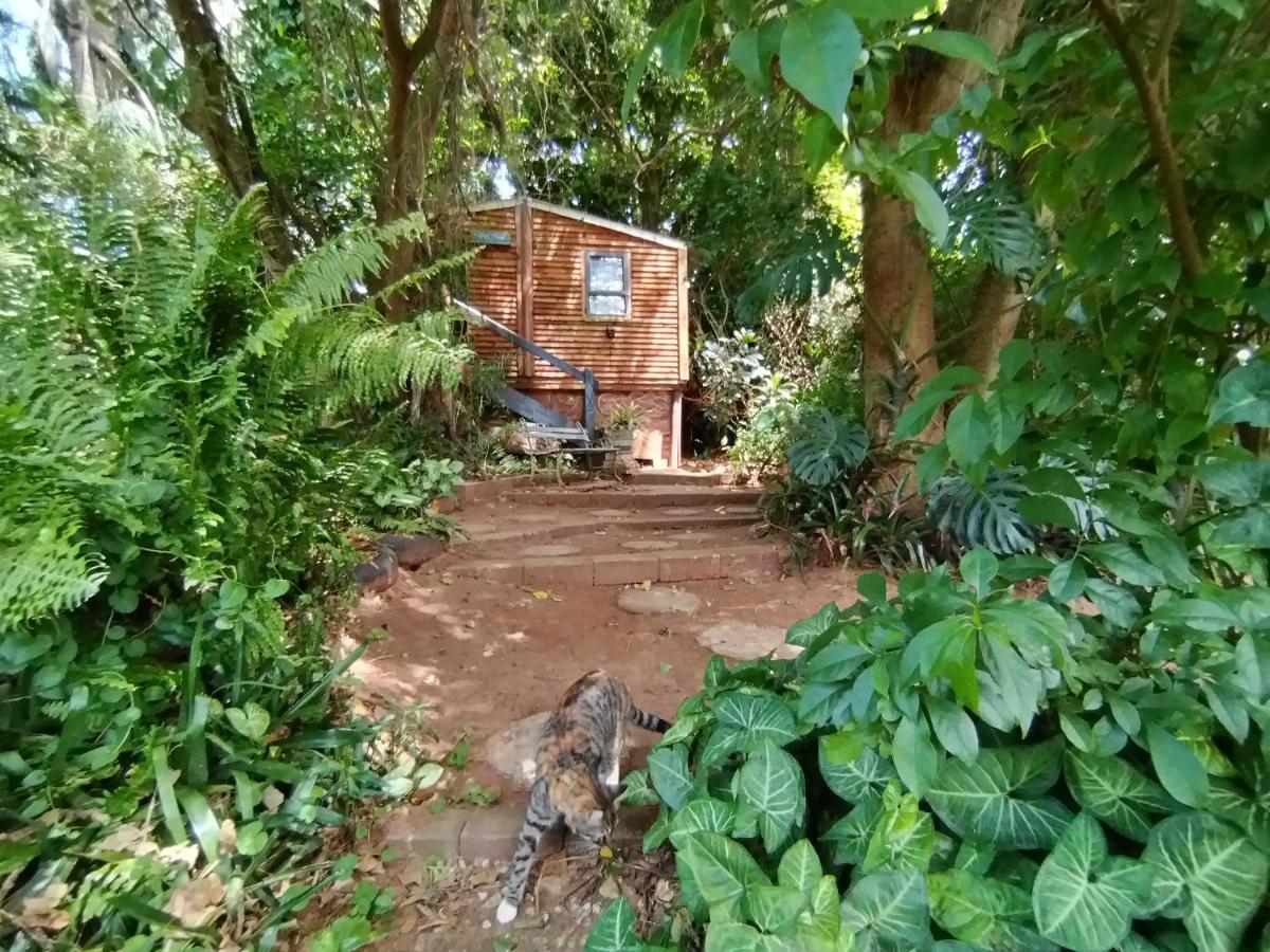 Beach Wood Cottages Shelly Beach Esterno foto