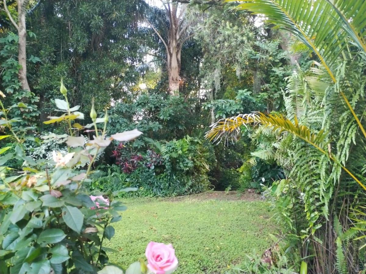 Beach Wood Cottages Shelly Beach Esterno foto