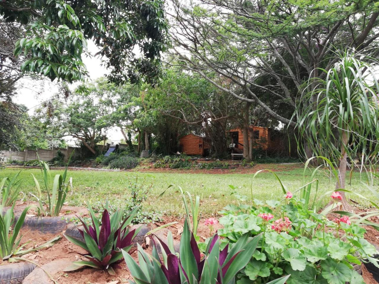 Beach Wood Cottages Shelly Beach Esterno foto