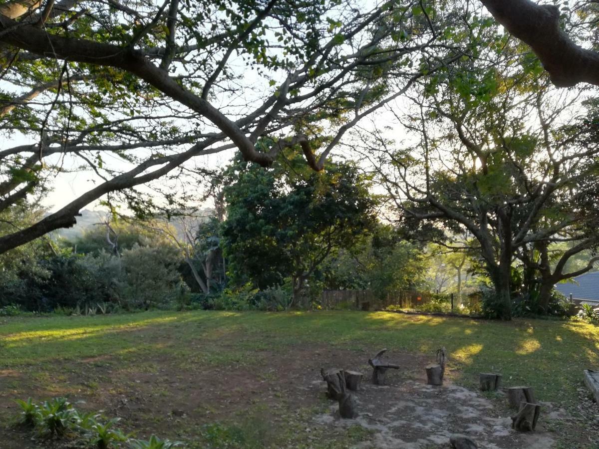 Beach Wood Cottages Shelly Beach Esterno foto