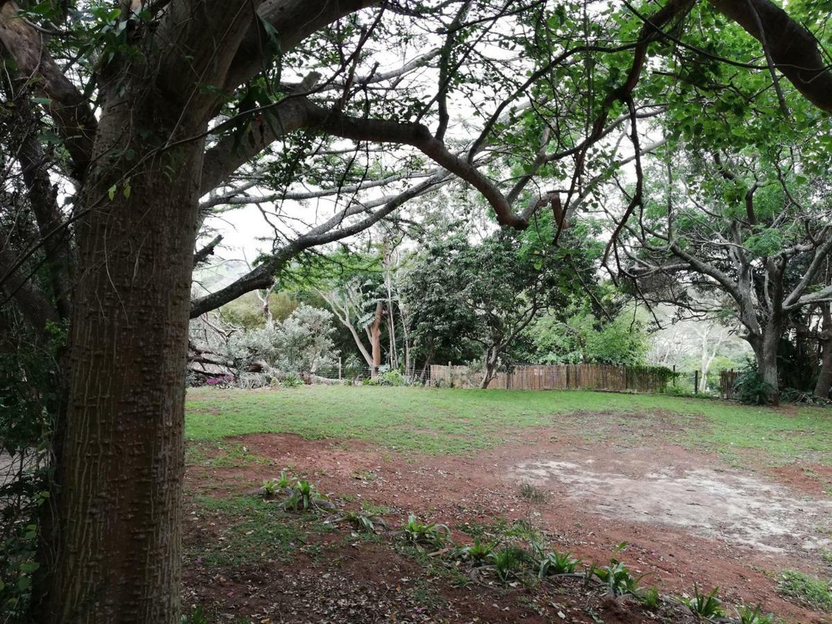 Beach Wood Cottages Shelly Beach Esterno foto