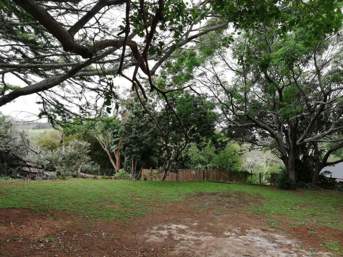 Beach Wood Cottages Shelly Beach Esterno foto